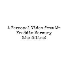 A Personal Video from Mr Freddie Mercury (the feline)